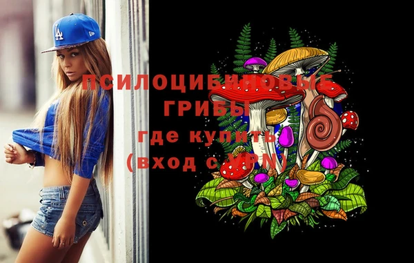 не бодяженный Богородицк